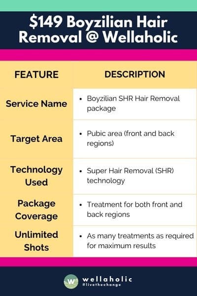 The table concisely outlines the Boyzilian SHR Hair Removal package by Wellaholic, detailing its service name, target area, the technology used, package coverage, and the provision of unlimited shots for comprehensive treatment.






