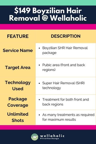 The table concisely outlines the Boyzilian SHR Hair Removal package by Wellaholic, detailing its service name, target area, the technology used, package coverage, and the provision of unlimited shots for comprehensive treatment.