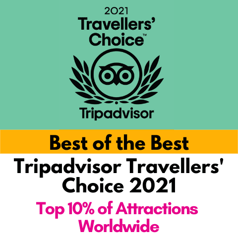 2021 Wellaholic Awards - Travellers Choice 2021 b