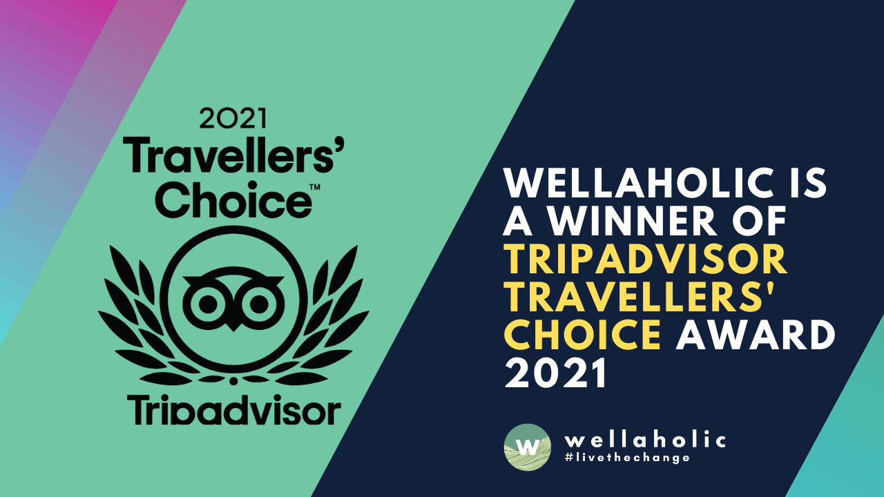 2021 Wellaholic Youtube & Website - Travellers Choice Awards 2021