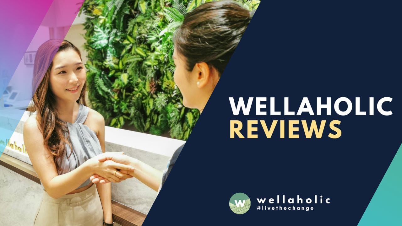2021 Wellaholic Youtube & Website - Wellaholic Reviews