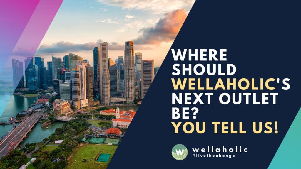 2021 Wellaholic Youtube & Website - where wellaholic next outlet