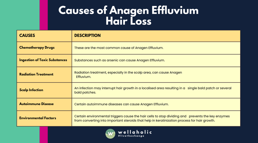 An informative chart titled ‘Causes of Anagen Effluvium Hair Loss’ on a dark background. The chart lists six causes including Chemotherapy Drugs, Ingestion of Toxic Substances, Radiation Treatment, Scalp Infection, Autoimmune Disease, and Environmental Factors, each with a corresponding description.