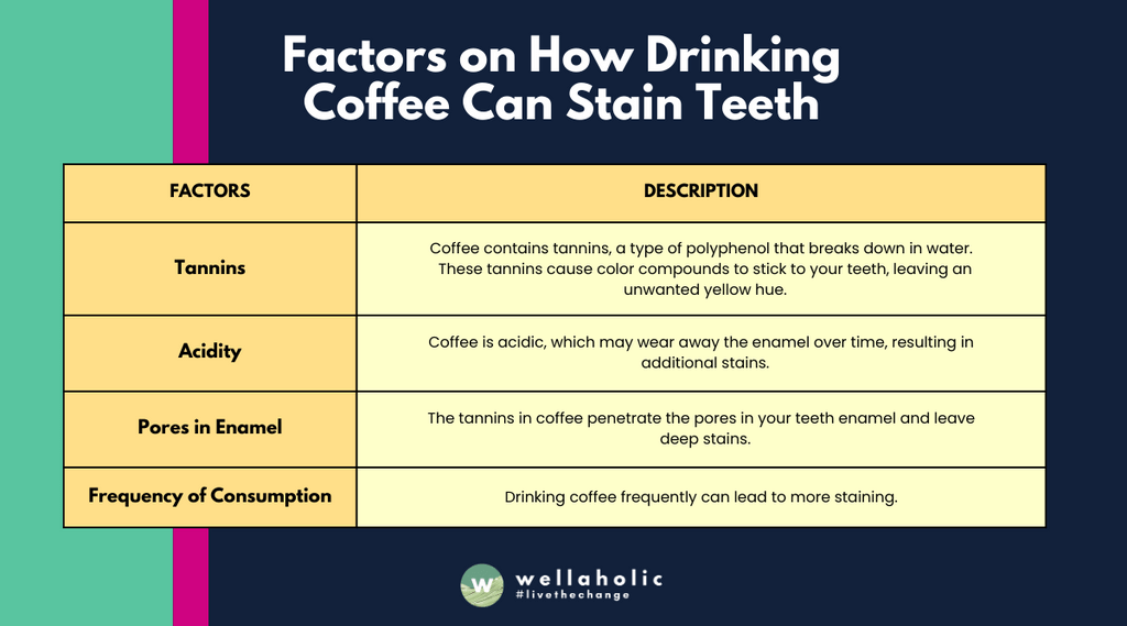 The table outlines how the tannins and acidity in coffee, along with the frequency of consumption, can lead to staining by adhering to and penetrating the pores in the enamel of your teeth.