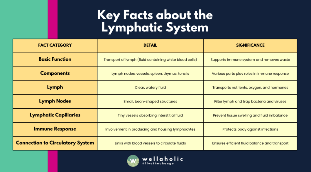 This table gives a snapshot of the lymphatic system's key aspects, their details, and why they are important for our body's functioning. 