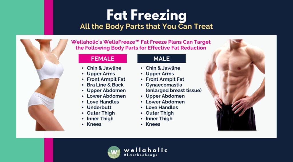Wellaholic's WellaFreeze™ Fat Freeze Plans Can Target the Following Body Parts for Effective Fat Reduction