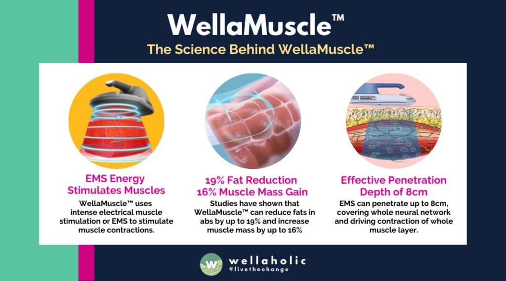 WellaMuscle™ uses intense electrical muscle stimulation or EMS to stimulate muscle contractions.