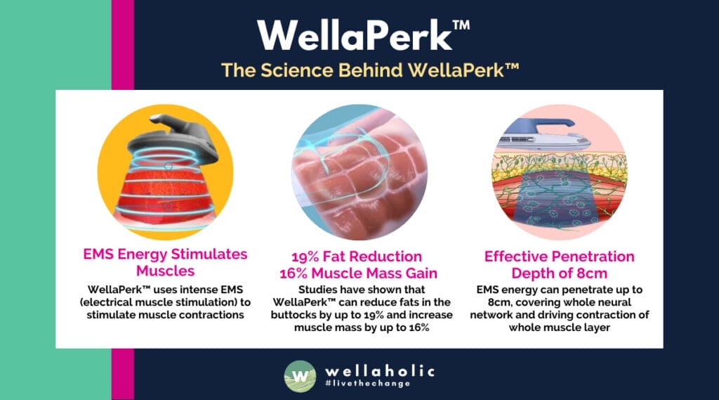  WellaPerk™ has been clinically tested and proven to increase muscle mass by about 16% and decrease fat by nearly 19% after four 30-minute sessions over two weeks