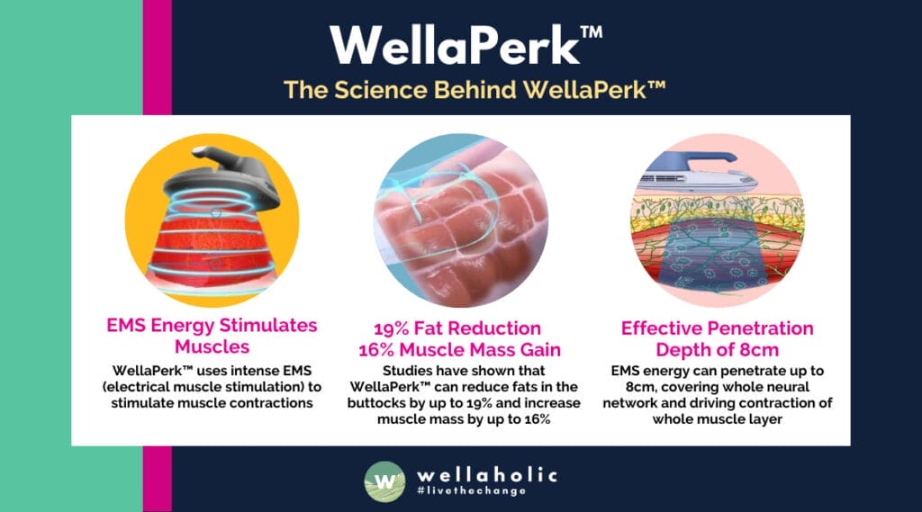 WellaPerk™ has been clinically tested and proven to increase muscle mass by about 16% and decrease fat by nearly 19% after four 30-minute sessions over two weeks