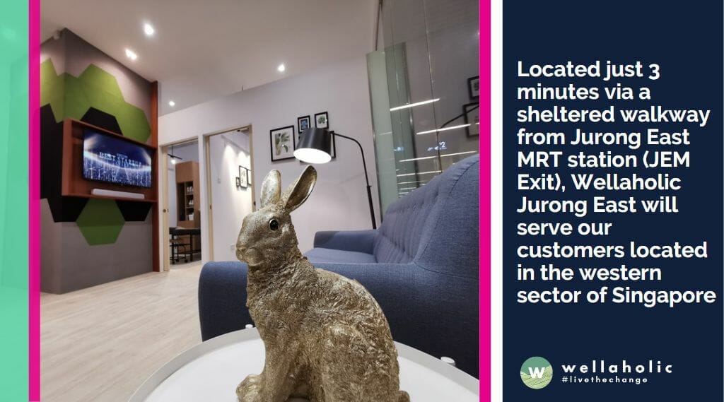 Located just 3 minutes via a sheltered walkway from Jurong East MRT station (JEM Exit), Wellaholic Jurong East will serve our customers located in the western sector of Singapore