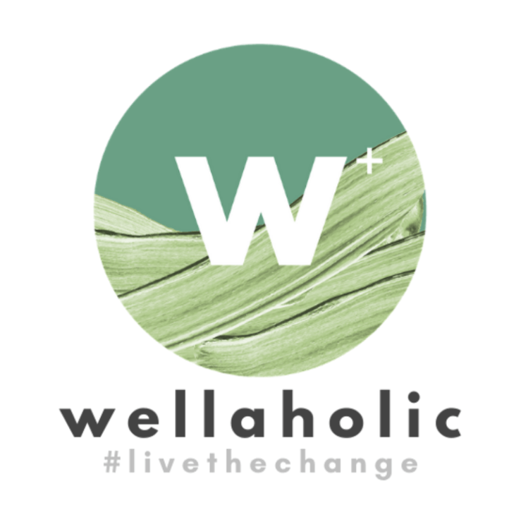 2026 Wellaholic Logo