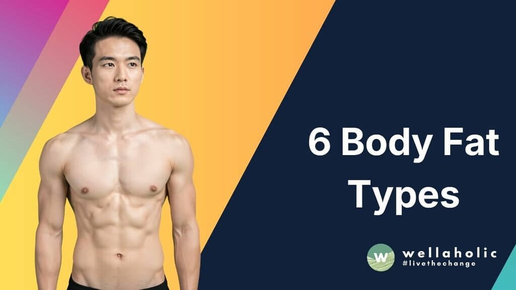 6 Body Fat Types