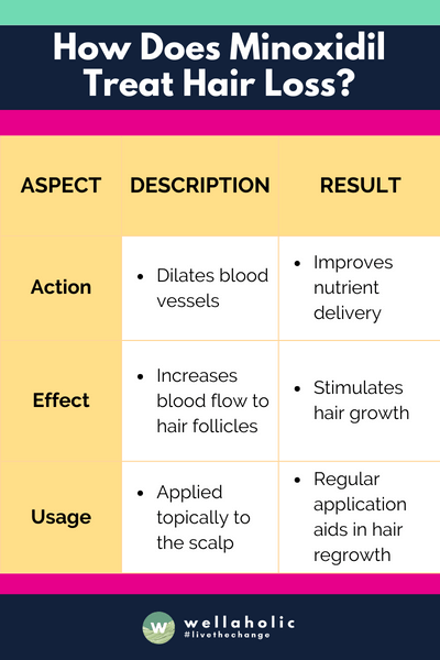 The table concisely outlines how Minoxidil treats hair loss, detailing its action in dilating blood vessels, its effect in increasing blood flow to hair follicles, and its usage as a topical scalp application, leading to improved nutrient delivery, stimulated hair growth, and aiding in hair regrowth with regular use.






