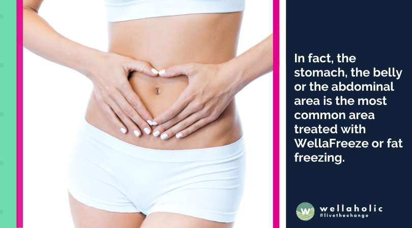In fact, the stomach, the belly or the abdominal area is the most common area treated with WellaFreeze or fat freezing. 