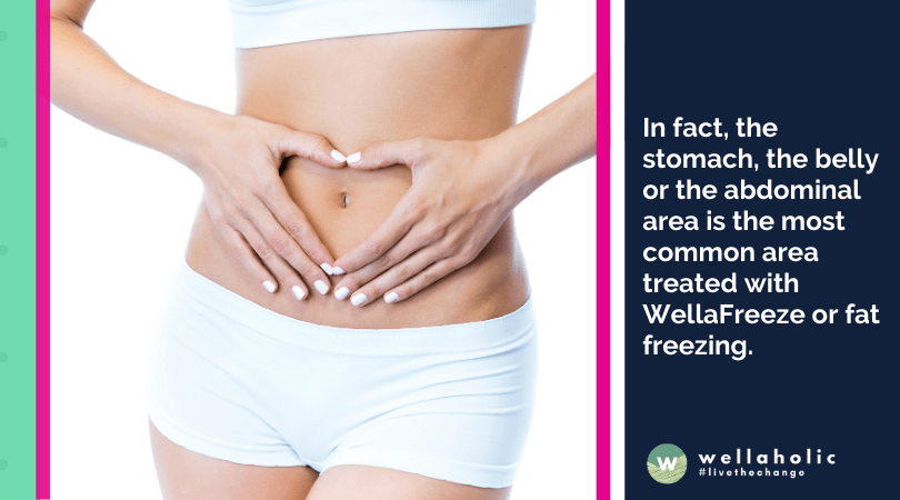 In fact, the stomach, the belly or the abdominal area is the most common area treated with WellaFreeze or fat freezing.