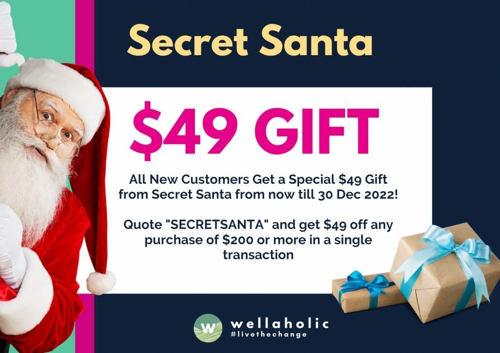 Dec 2022 Secret Santa