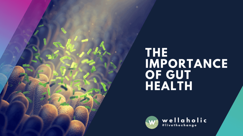 THE IMPORTANCE OF GUT HEALTH