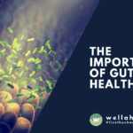 THE IMPORTANCE OF GUT HEALTH