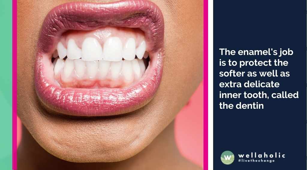 The enamel's job is to protect the softer as well as extra delicate inner tooth, called the dentin