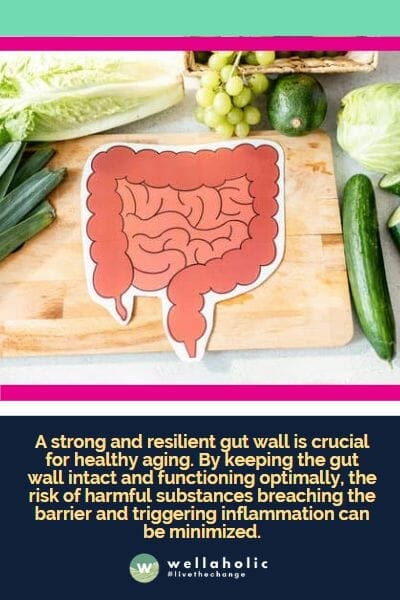 A strong and resilient gut wall is crucial for healthy aging. By keeping the gut wall intact and functioning optimally, the risk of harmful substances breaching the barrier and triggering inflammation can be minimized.