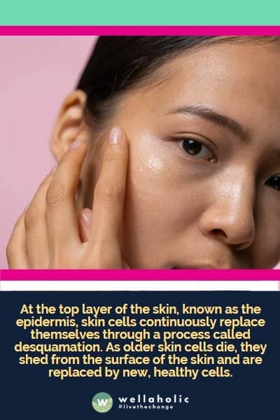At the top layer of the skin, known as the epidermis, skin cells continuously replace themselves through a process called desquamation. As older skin cells die, they shed from the surface of the skin and are replaced by new, healthy cells.