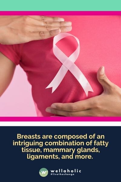 乳房由脂肪组织、乳腺、韧带等复杂组合而成，令人着迷。
