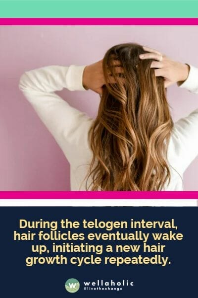 During the telogen interval, hair follicles eventually wake up, initiating a new hair growth cycle repeatedly. This unique characteristic of the hair's life cycle is why hair removal methods, like shaving, plucking, waxing, sugaring, or using depilatory creams, don't provide permanent results.