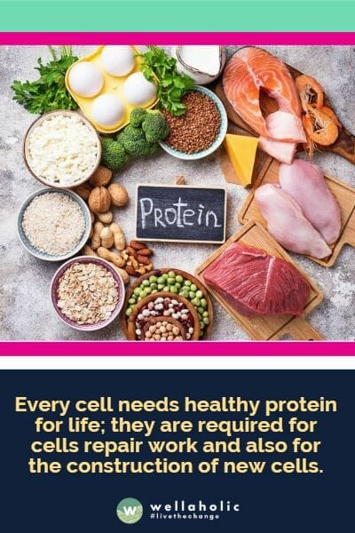 Every cell needs healthy protein for life; they are required for cells repair work and also for the construction of new cells.
