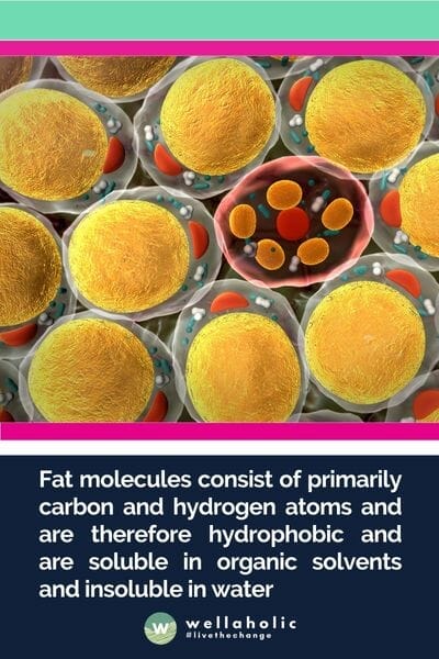 Fat molecules consist of primarily carbon and hydrogen atoms and are therefore hydrophobic and are soluble in organic solvents and insoluble in water