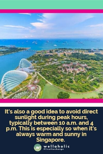 It's also a good idea to avoid direct sunlight during peak hours, typically between 10 a.m. and 4 p.m. This is especially so when it's always warm and sunny in Singapore.
