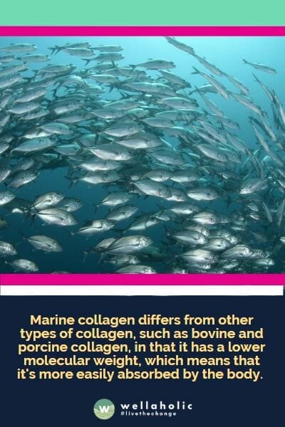 Marine collagen differs from other types of collagen, such as bovine and porcine collagen, in that it has a lower molecular weight, which means that it's more easily absorbed by the body. 