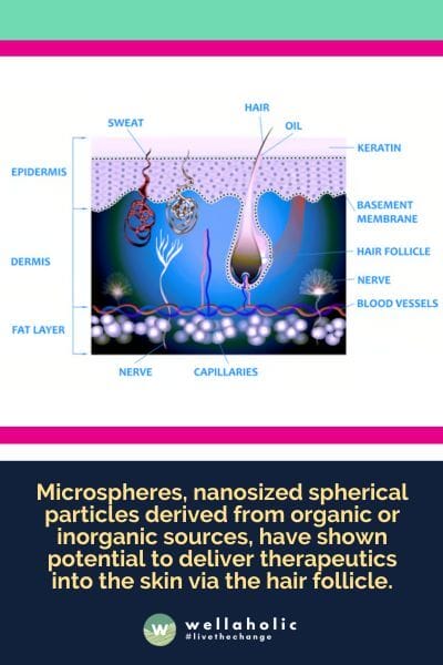 Microspheres, nanosized spherical particles derived from organic or inorganic sources, have shown potential to deliver therapeutics into the skin via the hair follicle. In the current study, the researchers synthesized 3D microspheres of water-soluble keratin. On contact with water, the microspheres swelled, forming gels.