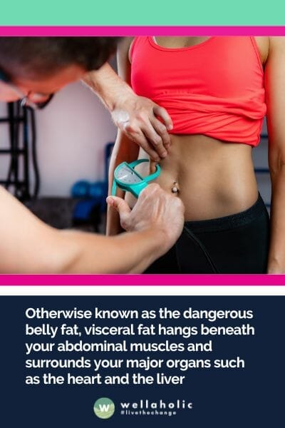 Otherwise known as the dangerous belly fat, visceral fat hangs beneath your abdominal muscles and surrounds your major organs such as the heart and the liver