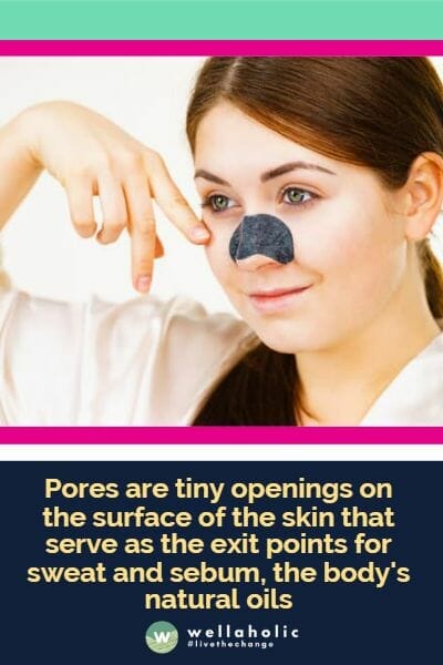 Pores are tiny openings on the surface of the skin that serve as the exit points for sweat and sebum, the body's natural oils