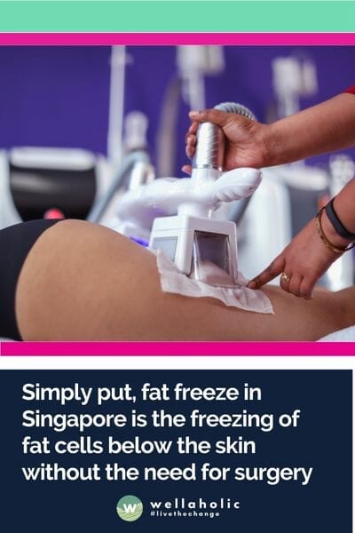 Simply put, fat freeze in Singapore is the freezing of fat cells below the skin without the need for surgery.