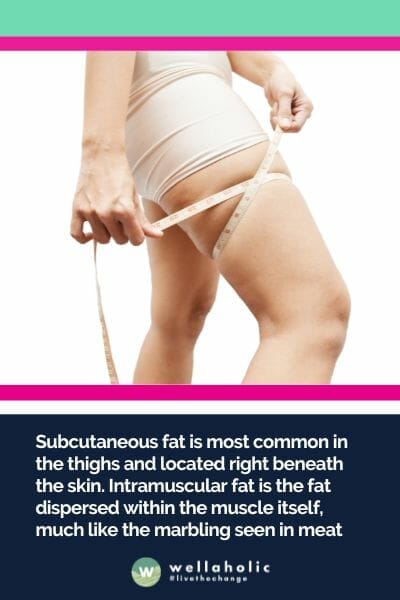 Subcutaneous fat is most common in the thighs and located right beneath the skin. Intramuscular fat is the fat dispersed within the muscle itself, much like the marbling seen in mea