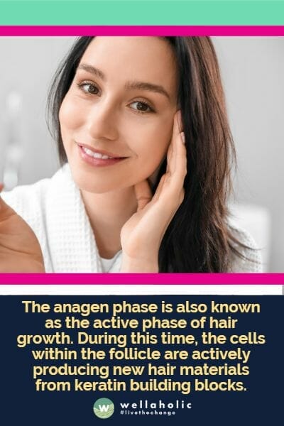 The anagen phase is also known as the active phase of hair growth. During this time, the cells within the follicle are actively producing new hair materials from keratin building blocks.