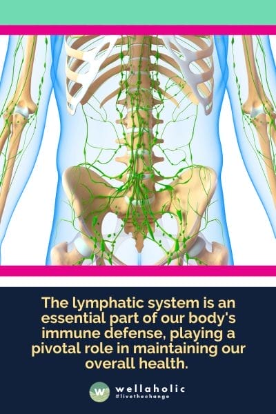 10 Ways To Improve Your Lymphatic System For A Healthy Life