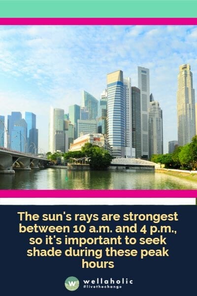 太阳光线在上午10点到下午4点之间最强烈,因此在这些高峰时段寻找遮荫是很重要的。
