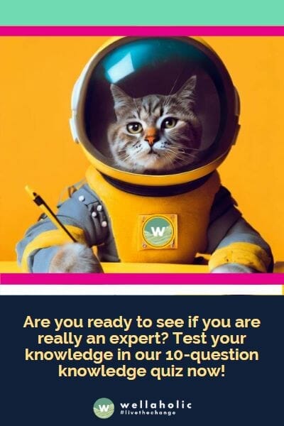 Are you ready to see if you are really an expert? Test your knowledge in our 10-question knowledge quiz now!