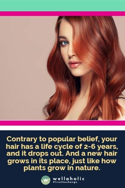 contrary to popular belief, your hair has a life cycle of 2-6 years, and it drops out. And a new hair grows in its place, just like how plants grow in nature.