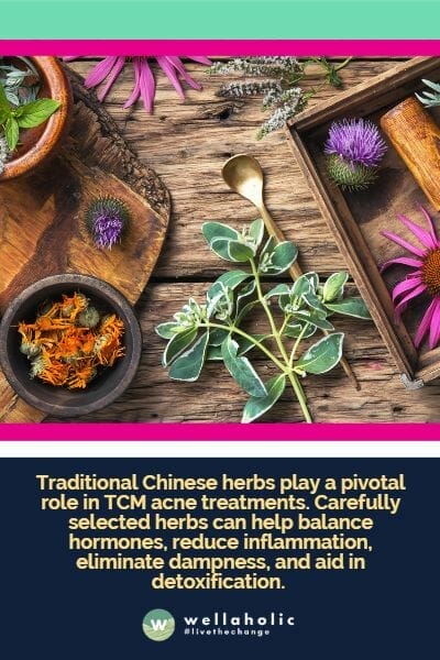 raditional Chinese herbs play a pivotal role in TCM acne treatments. Carefully selected herbs can help balance hormones, reduce inflammation, eliminate dampness, and aid in detoxification. 