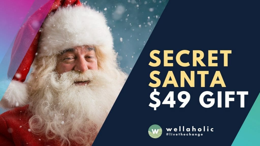 Secret Santa 49 Gift