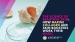 The Science of Beautiful Skin: How Marine Collagen and Skin Boosters Work Their Magic