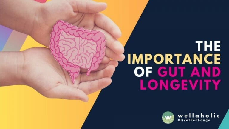 The Importance of Gut and Longevity