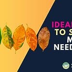 Discover the best age to start microneedling in Singapore for youthful, glowing skin. Learn how prevention meets treatment and achieve long-lasting results today. Book your consultation now!