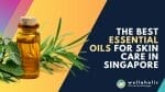 Unlock the secrets of radiant skin with the best essential oils for skincare in Singapore! Discover the natural wonders that can transform your complexion. Don't miss out on this essential guide to healthy, glowing skin - Read on to unveil the key to a flawless complexion!"