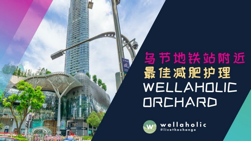 正在寻找靠近乌节地铁站的专业减肥护理？或者您就在ION Orchard，Wisma Atria，会德丰广场，Forum The Shopping Mall和Tangs Orchard购物中心附近，正在寻找信誉良好的减脂和橘皮组织管理服务提供商？看看我们值得信赖的专家在Wellaholic Orchard！我们的减肥专家团队提供一流的减肥治疗，包括脂肪冷冻、射频塑身、超声波空化、激光 脂肪 以及去除妊娠纹。