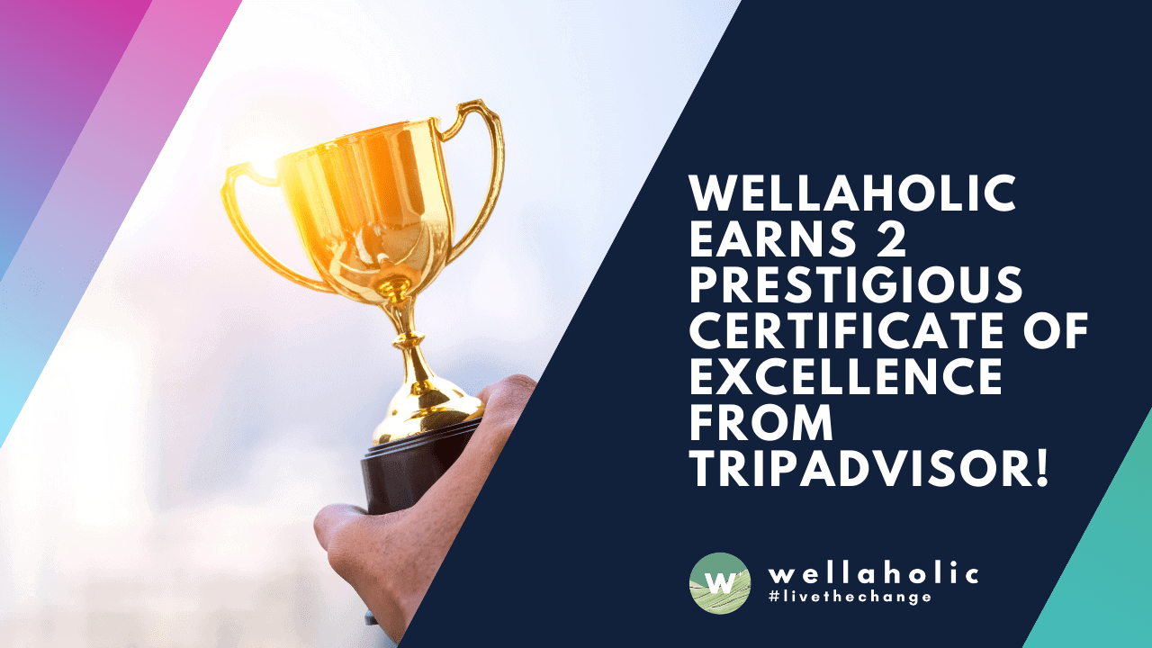 Wellaholic Earns 2 Prestigious Certificate of Excellence from Tripadvisor!