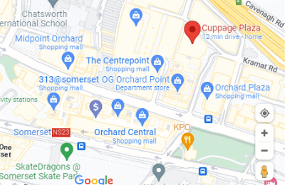 Wellaholic Somerset Map